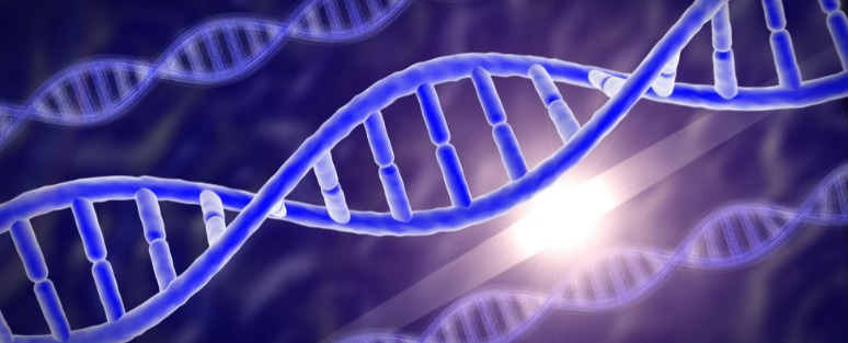 endometriose-e-celulas-tronco-identificacao-de-genes-de-referencia